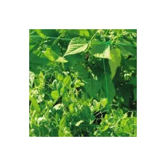 TRELLINET PP növénytartó háló