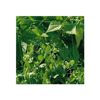 trellinet-uborkahalo-zold-1-7x10