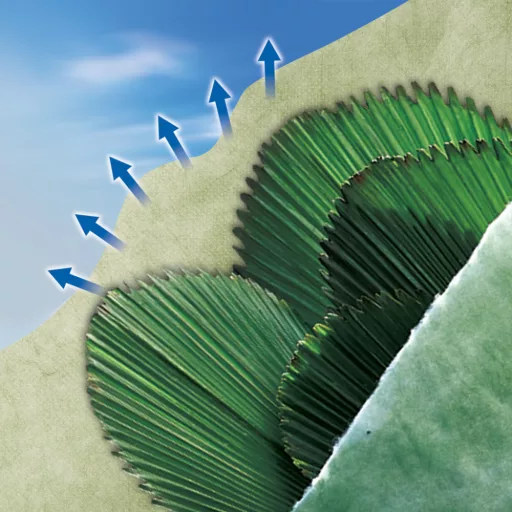 ouatex-atteleteto-novenytakaro-zold