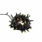 Garden Lights Linea all seasons
