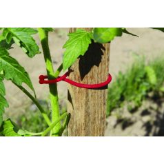   Paradicsom kötöző - tomatoclip növénykapocs 25 db/egység*