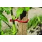 tomatoclip-paradicsom-kotozo-kapocs