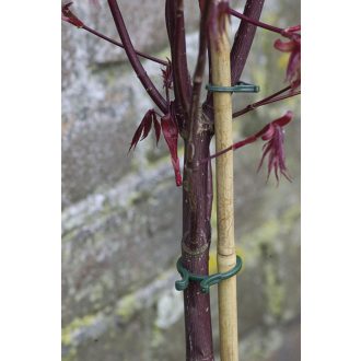 vegring-rogzito-klipsz