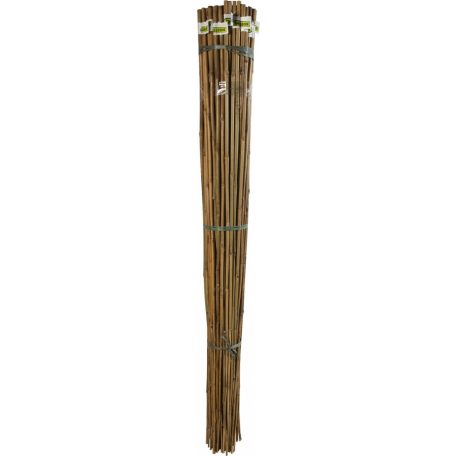 BAMBOO bambusz termesztő karó 1,5m - 2db/köteg