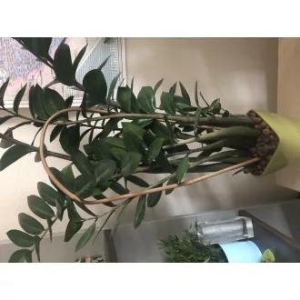 arc-bamboo-ivelt-karo-1-5m
