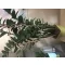 arc-bamboo-ivelt-karo-1-5m