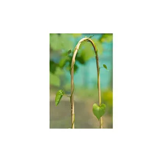 arc-bamboo-ivelt-karo-2m
