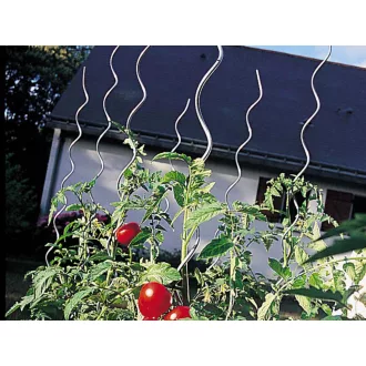 tomato-spiral-ezust-1-8m