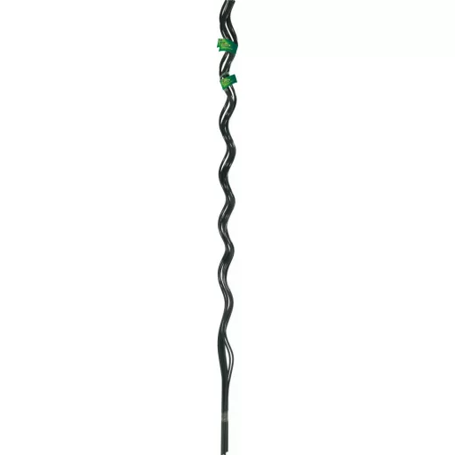 tomato-spiral-zold-1-7m