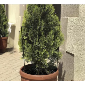 CHELSEA félkör alakú növénykaró zöld 40 x 80 cm 140724 – Növénytámaszok