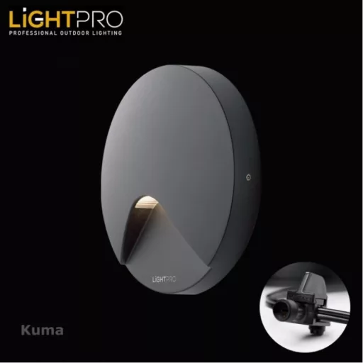 Kuma