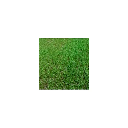 everris-new-grass-starter-15kg