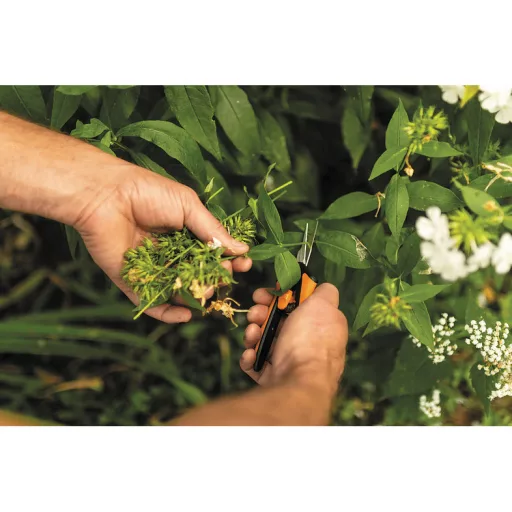 Solid Micro-Tip olló SP13