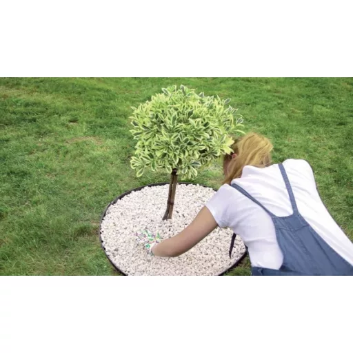 Kerti Szegély Border 0645 -Fekete