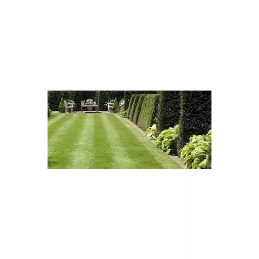 ICL Landscaper Pro Sun & Shade árnyéktűrő fűmag 10 kg (400 m²)