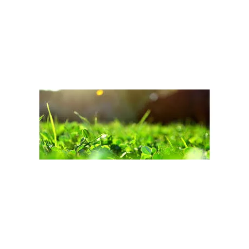 ICL Landscaper Pro Sun & Shade árnyéktűrő fűmag 10 kg (400 m²)