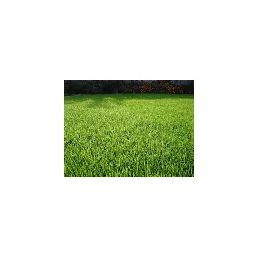 eurogreen-monaco-mediterran-10kg