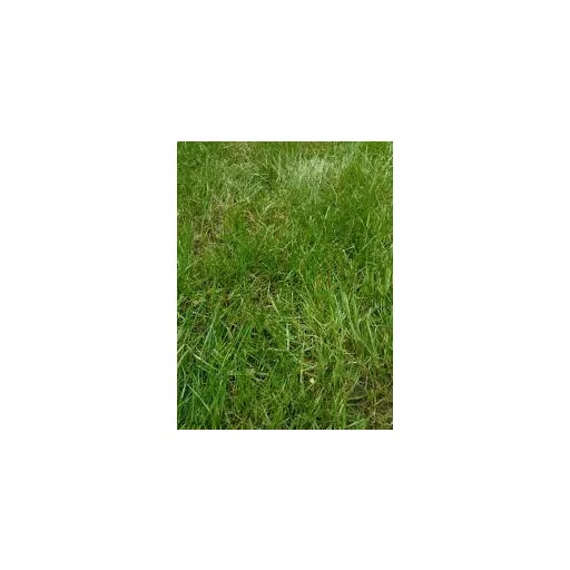 everris-sportmaster-balanced-25kg