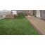 ZURICH EVOLUTION 30 mm műfű zöld/barna 1x4m – Műfüvek