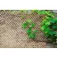 Wick Trellis vessző apácarács natúr 1x2m