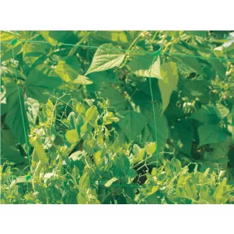 TRELLINET PP uborkaháló