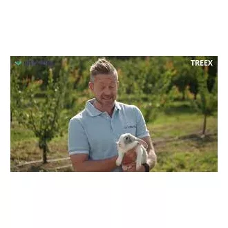 TREEX (Flexguard) facsemetevédő rács, fekete 6x55cm