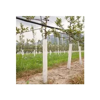 TREEX (Flexguard) facsemetevédő rács, fehér 6x55cm