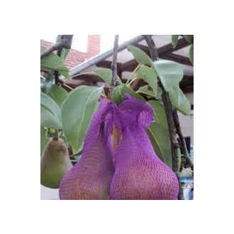 darazs-elleni-vedohalo-lila