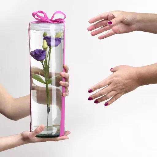 Tető henger alakú üveg vázához, vízbe merülő virágoknak – AGG91 – Florárium