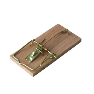 bros-egerfogo-fa-1db