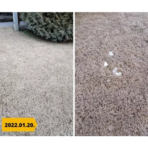 barenbrug-bermuda-05kg