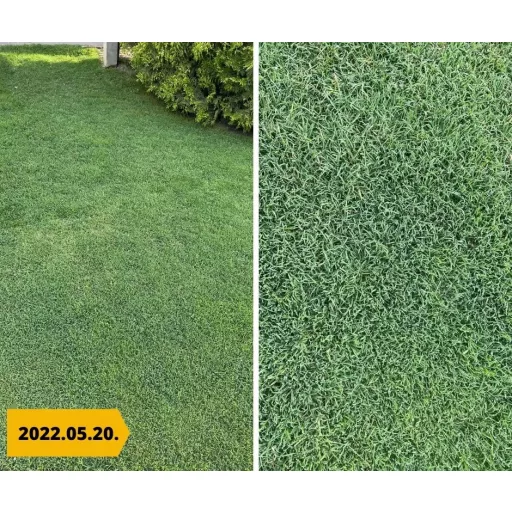 barenbrug-bermuda-05kg