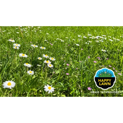 Barenbrug Happy Lawn sport fűmagkeverék virágmagokkal 5kg (250m2)