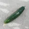 Marketmore Uborka BIO (Cucumis sativus) (Vetőmag)