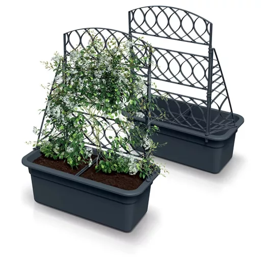 BALKONLÁDA NÖVÉNYFUTATTÓVAL BLOMA 60 - ANTRACIT