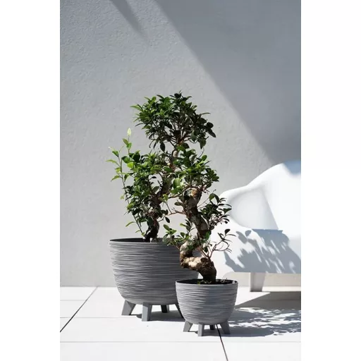 Virágcserép 300 Furu Stand  - Antracit