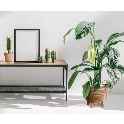 Virágcserép 300 Furu Eco Wood - Natúr – Virágcserepek, virágládák
