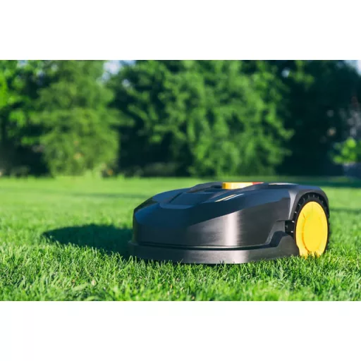 DSV PRO230 Ornamental díszgyep felülvető fűmag 5 kg (200 m2)