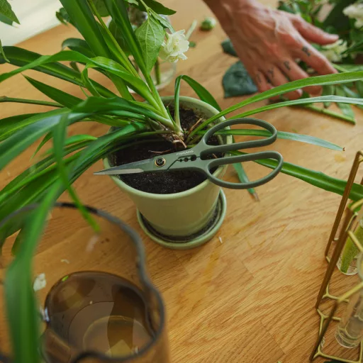 Urban Gardening virágvágó olló, tárolóval