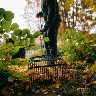 Ergonomic lombszedő villa