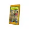florimo-kaktusz-viragfold-3l