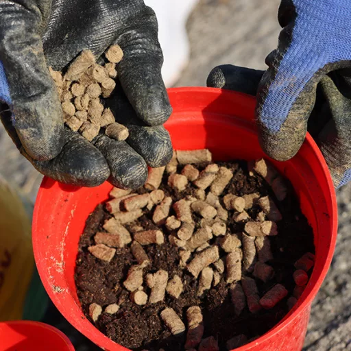 Fitowool Prémium Gyapjú Pellet – Balkonládába 250gr – Növény, virág- és gyümölcstápok