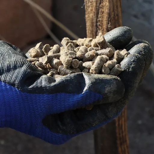 Fitowool Prémium Gyapjú Pellet – Univerzális 750gr – Növény, virág- és gyümölcstápok