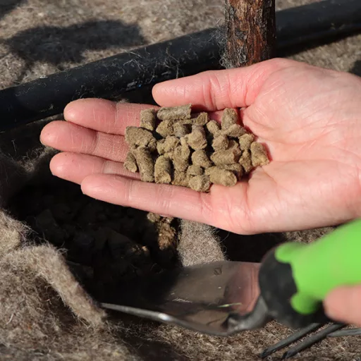 Fitowool Prémium Gyapjú Pellet – Univerzális 750gr – Növény, virág- és gyümölcstápok