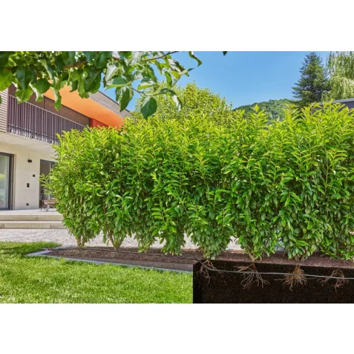 MD csepegtető cső növénysorokhoz,süllyezthető 13mm 25m