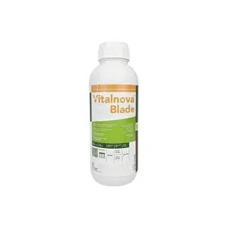 ICL Vitalnova Blade 1 l