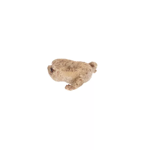 Gyík polyresin szobor, dekoráció, 16 x 8 x 3 cm