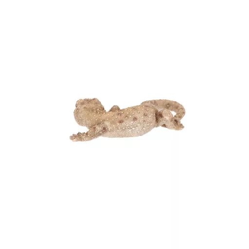 Gyík polyresin szobor, dekoráció, 16 x 8 x 3 cm