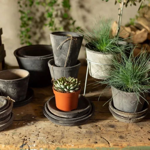 Terrakotta alátét, kerek, szürke