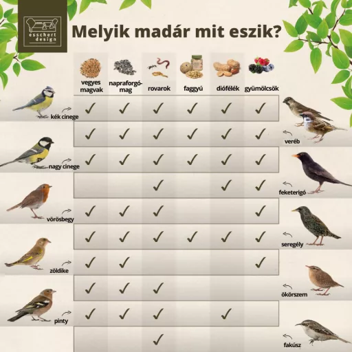 faggyugolyo-madareleseg-6-db-os